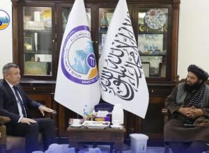 تأکید وزیر معادن و پترولیم بر تسریع اجرای پروژه تاپی و تکمیل بخش هرات تا پایان سال میلادی