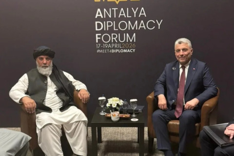 عکسی از هیت افغانی