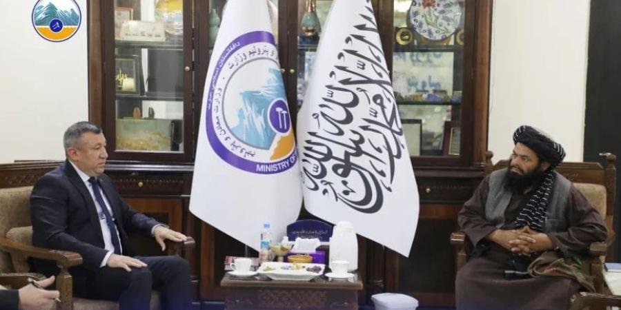 تأکید وزیر معادن و پترولیم بر تسریع اجرای پروژه تاپی و تکمیل بخش هرات تا پایان سال میلادی